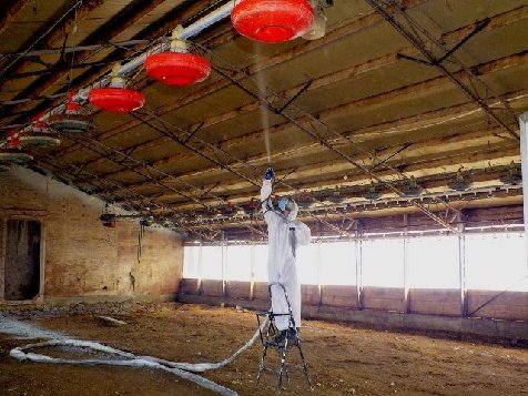 Agricultural poultry barn treated with foam and coating system